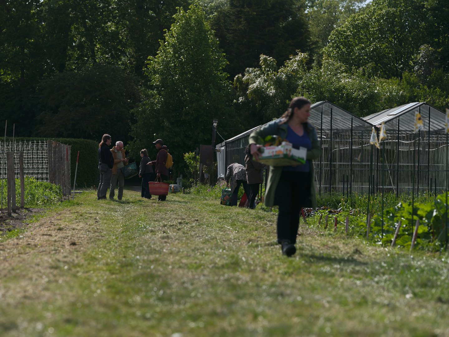 People gardening and conversing in a community garden.