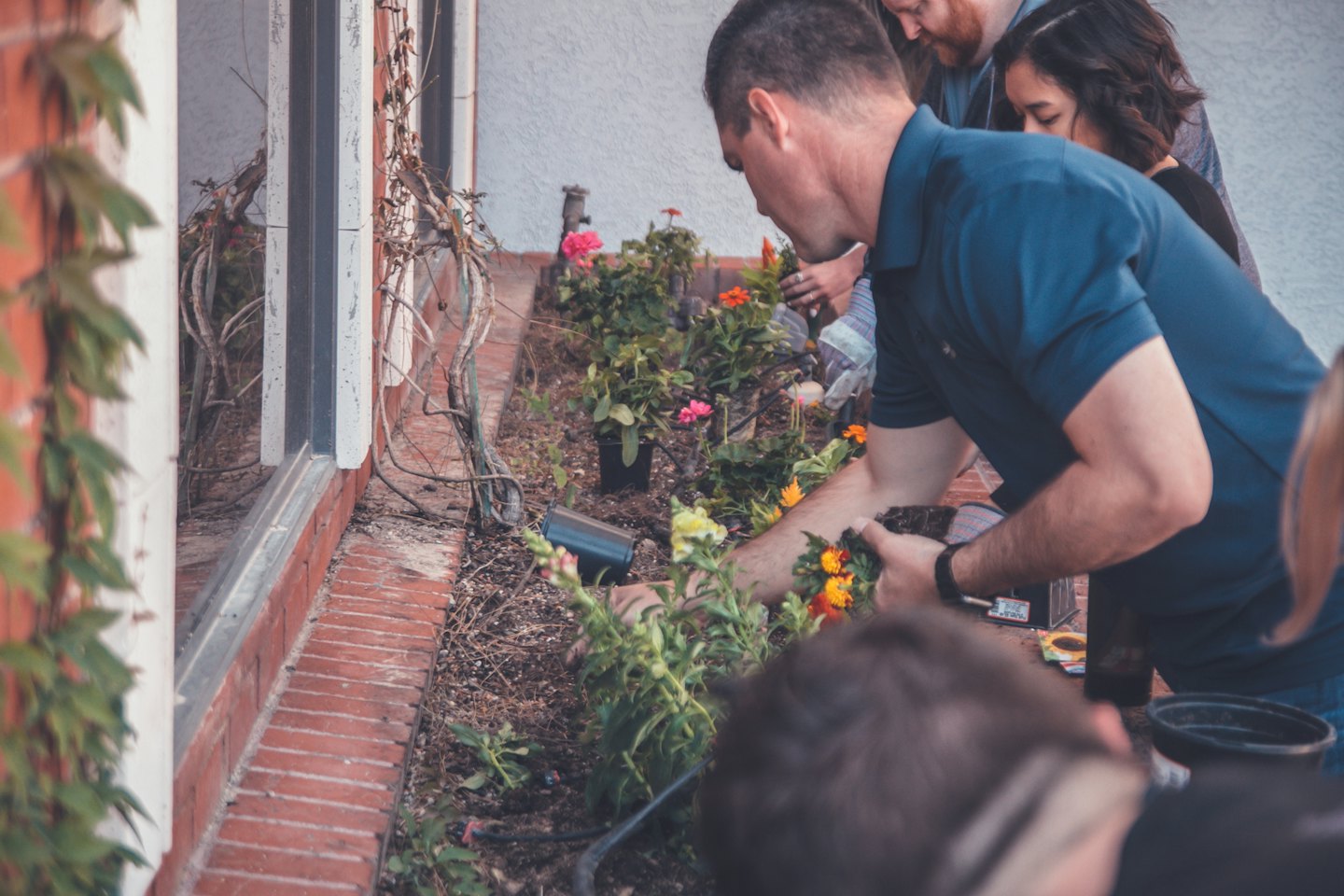 People planting colorful flowers in a garden next to a building.