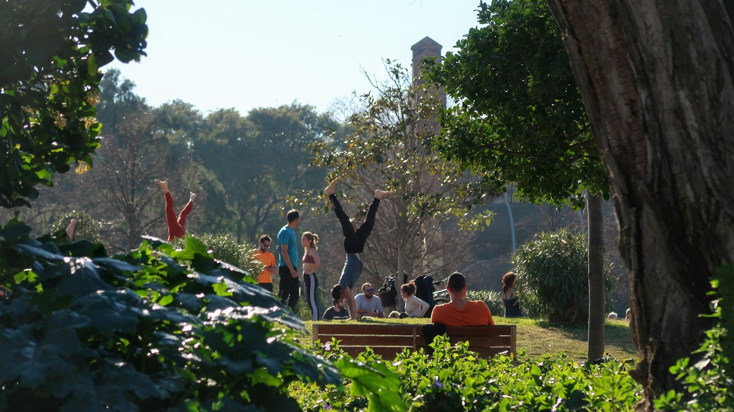 People exercise and practice handstands on a sunny park lawn.